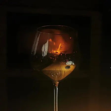 ヴィラ Fina Čerević